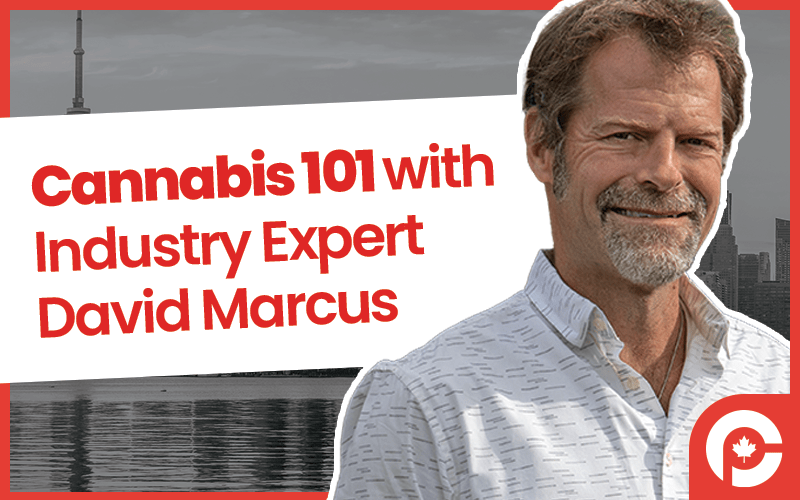 David Marcus