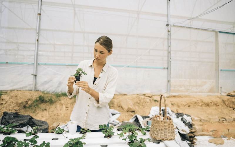 Photo: Anna Tarazevich