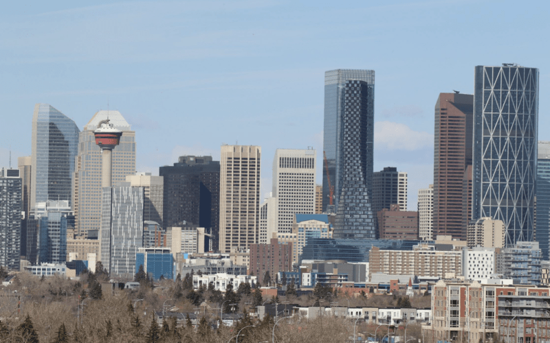 Francois Mutombo photo